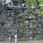 蜂須賀桜と石垣
