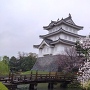 雨滴る桜と忍城