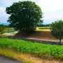 井田川土手からの本丸土塁