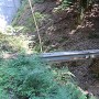 箱ヶ岳城 登城道の架け橋