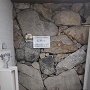 トイレの奥の壁