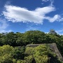 紀伊岡山城から見た和歌山城