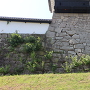 白河小峰城最古の石垣