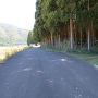 茶臼山城 北の麓 林道入口