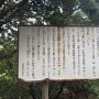 遊歩道にある案内板