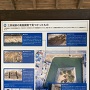 三原城跡の発掘成果説明案内板