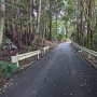 搦手の大胡神社の曲輪の車道