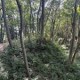 千畳敷東の角馬出し跡
