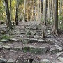 八幡神社への参道石段