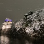 真冬の夜の富山城