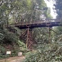 堀道から見た木橋