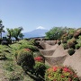 掘りと富士山