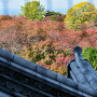 秋の彦根城　天守閣からの風景