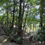 稲荷神社から見た空壕