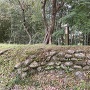 本丸東土塁と石垣