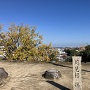 月見櫓からの松阪市街