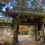伊勢上野城跡内にある円光寺の山門