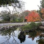 本丸　日本庭園