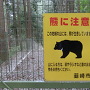 熊注意