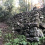 大野木屋敷跡の石垣