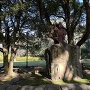 田中國廣像