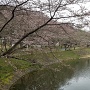 観音寺手前の池