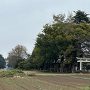 神明神社と城址遠景