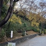 志村城山公園
