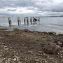 琵琶湖の水位が下がって出現した礎石