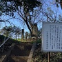 太田道灌弟の墓
