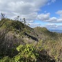 登山道からの眺望