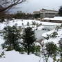 玉泉院丸庭園の雪化粧