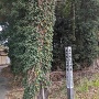 高崎城大手門跡の標識