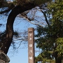柳川城跡の碑