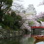 桜と舟と天守