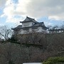 西日本随一の桜の名所と知られる平山城