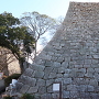 三の丸北側の石垣