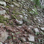 北二の丸下段の石垣