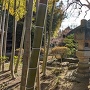 伝古河城二の丸御殿の灯籠(鷹見泉石記念館の庭)