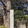 東京大仏前の二の丸石碑