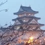 夜の城と桜