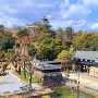 高知城歴史博物館から見た高知城