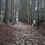 復元東海道石畳