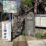 杉本城　鎌倉幕府址の碑