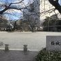 桜城跡公園