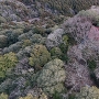 常陸国 笠間城 空撮