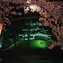 夜桜と三重櫓