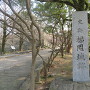 「福岡城跡」石碑