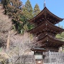 新海三社神社の三重塔