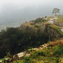 朝霧の竹田城